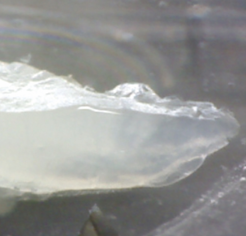 ジオミルでは見えない成長線や縞状組織の切削!